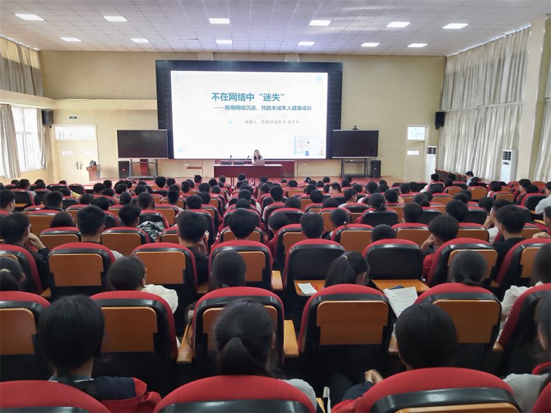 连云港网络咨询:架起信息桥梁的新动力